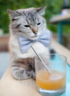 【水手新秀罗德里格斯】单场三全垒打引爆全场,罗徳里格斯