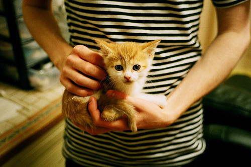 JIU YOU GAME-“逆境中的领袖：明星队长的坚韧精神”，明星队队长