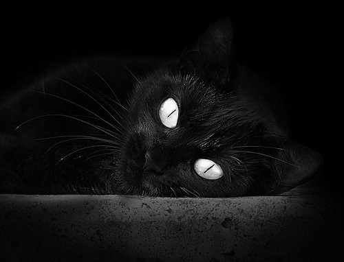 专家点评:专业视角,解读比赛,竞赛专家点评深入精彩纷呈