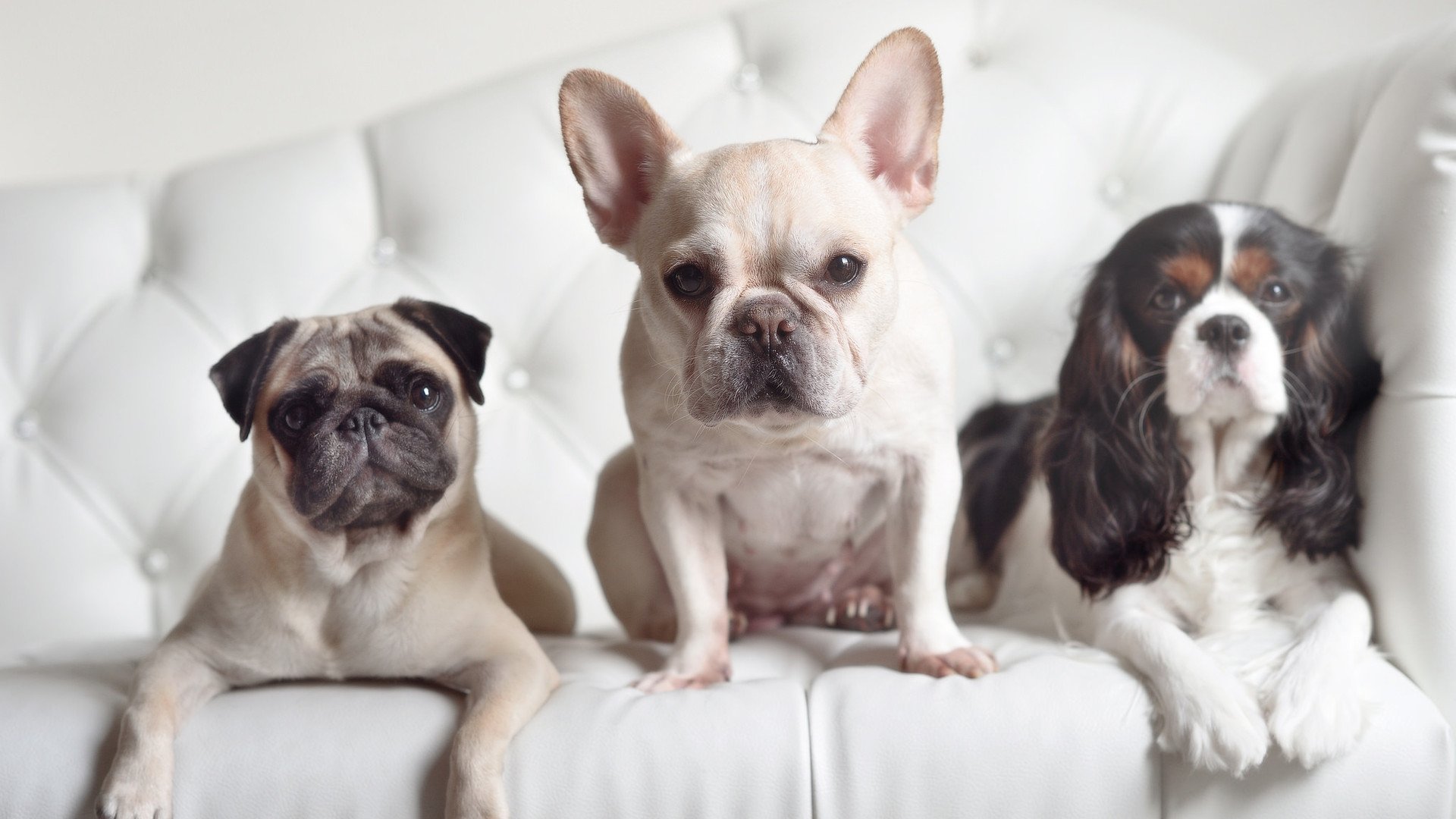 中国篮球明星积极参与运动公益,助力贫困地区孩子梦想,篮球明星中国行